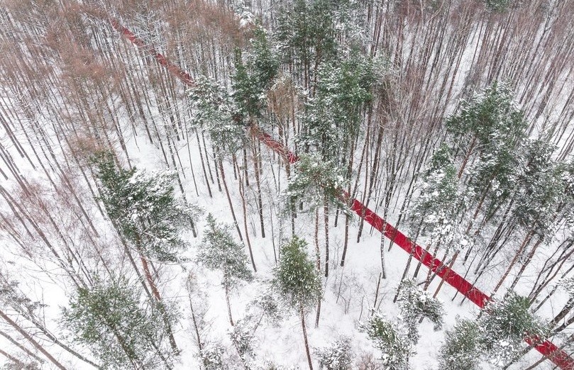 Una alfombra roja de 250 metros de largo se despliega por el paisaje nevado. Esto es «Nowhere» de Gregory Orekhov. PH Konstantin Antipin