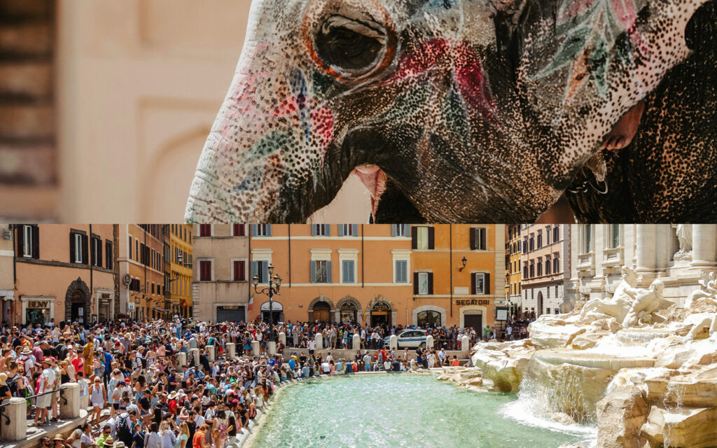 Immagine divisa in due. sopra un elefante e sotto la Fontana Di Trevi.