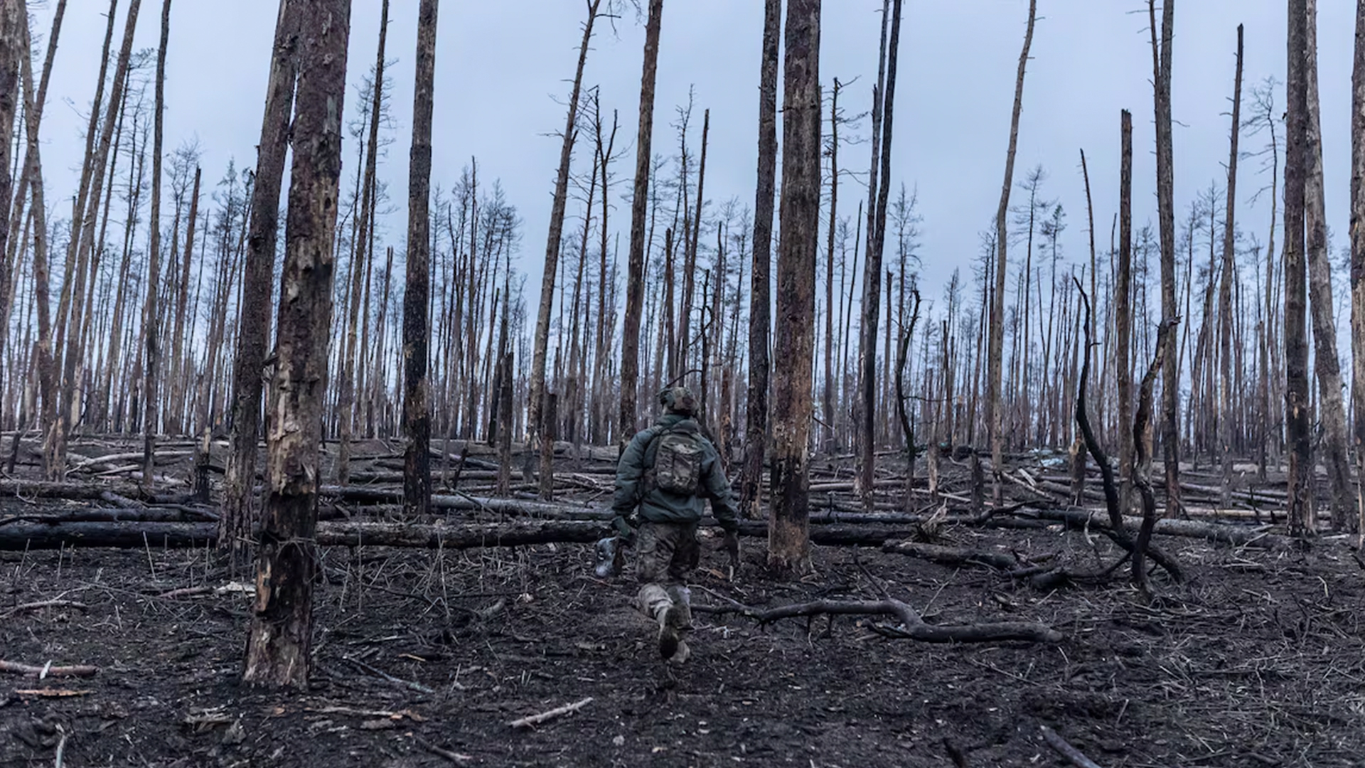 Imagen de Diego Herrera Carcedo - Soldados ucranianos avanzan a través de un bosque destruido por los combates en dirección a Kreminná, una ciudad ucraniana perteneciente al óblast de Lugansk