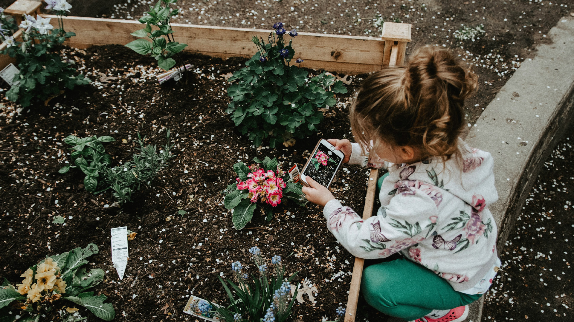 Kid in a Garden