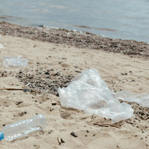 Immagine di Ron Lach - Bottiglia di plastica sulla sabbia