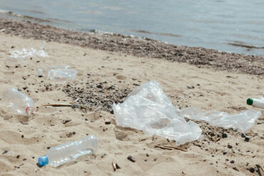 Immagine di Ron Lach - Bottiglia di plastica sulla sabbia