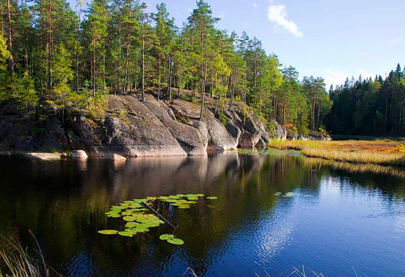 Parque Nacional Nuuksio. Finlandia. Un sitio muy conocido por los viajes en la naturaleza