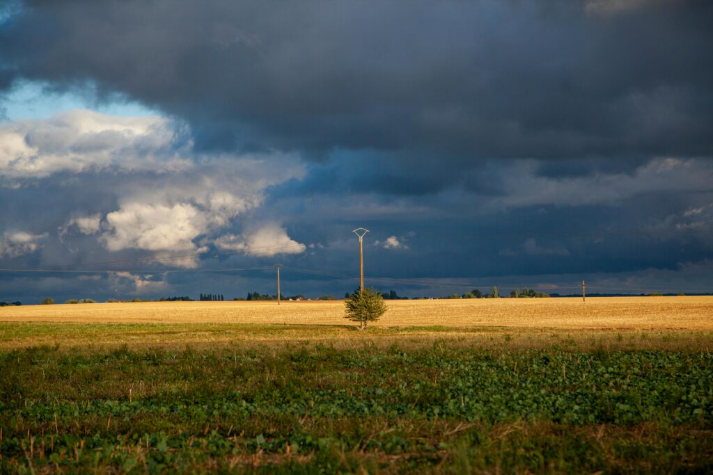 Artificial Intelligence helps weather forecasting - Photo: Franck Denis 