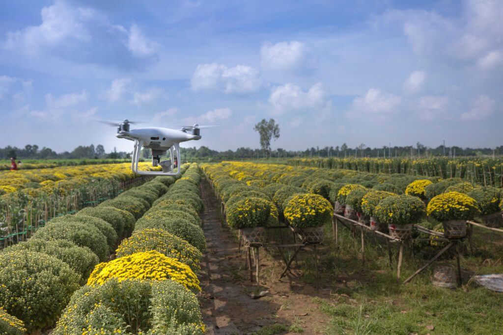 Monitoreo de un cultivo con dron para recabar Big Data. Inteligencia artificial