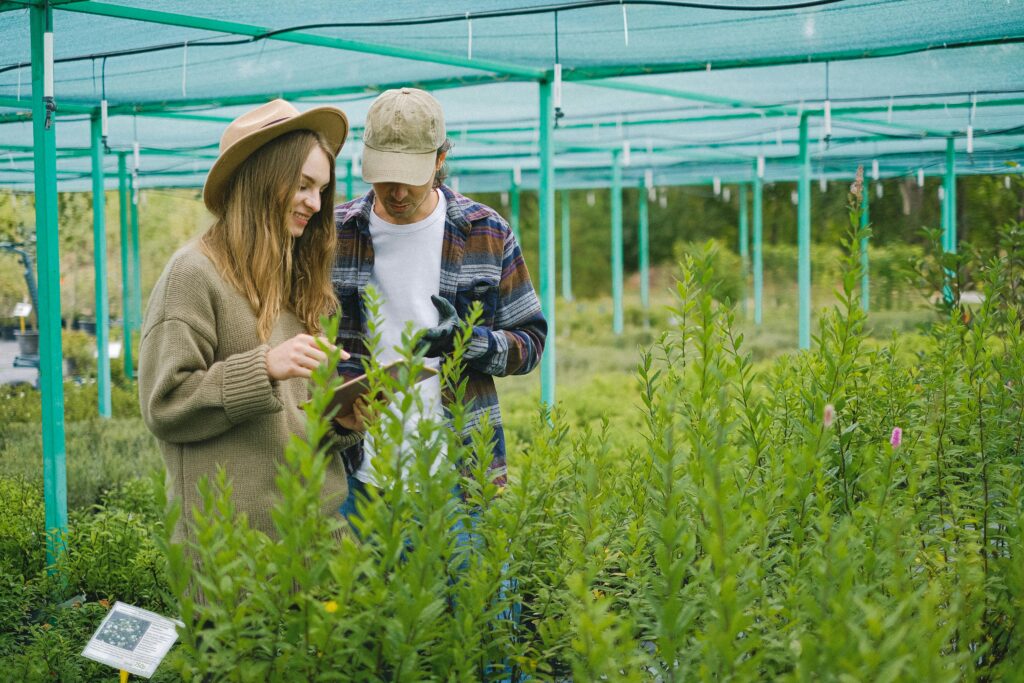 Big Data is accessible from any farm or crop - Photo: Anna Shvets 