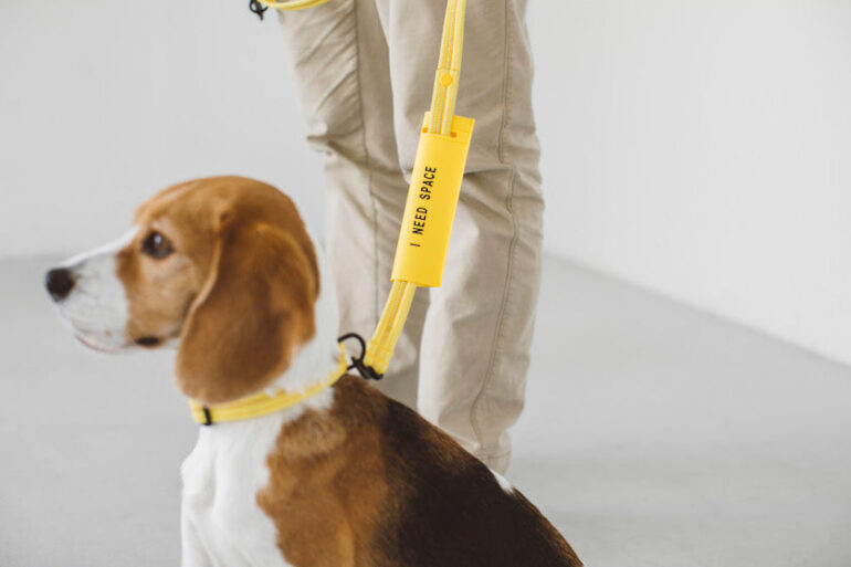 Questo progetto incoraggia i proprietari di cani ansiosi a utilizzare un fiocco giallo per evitare che le persone li disturbino.