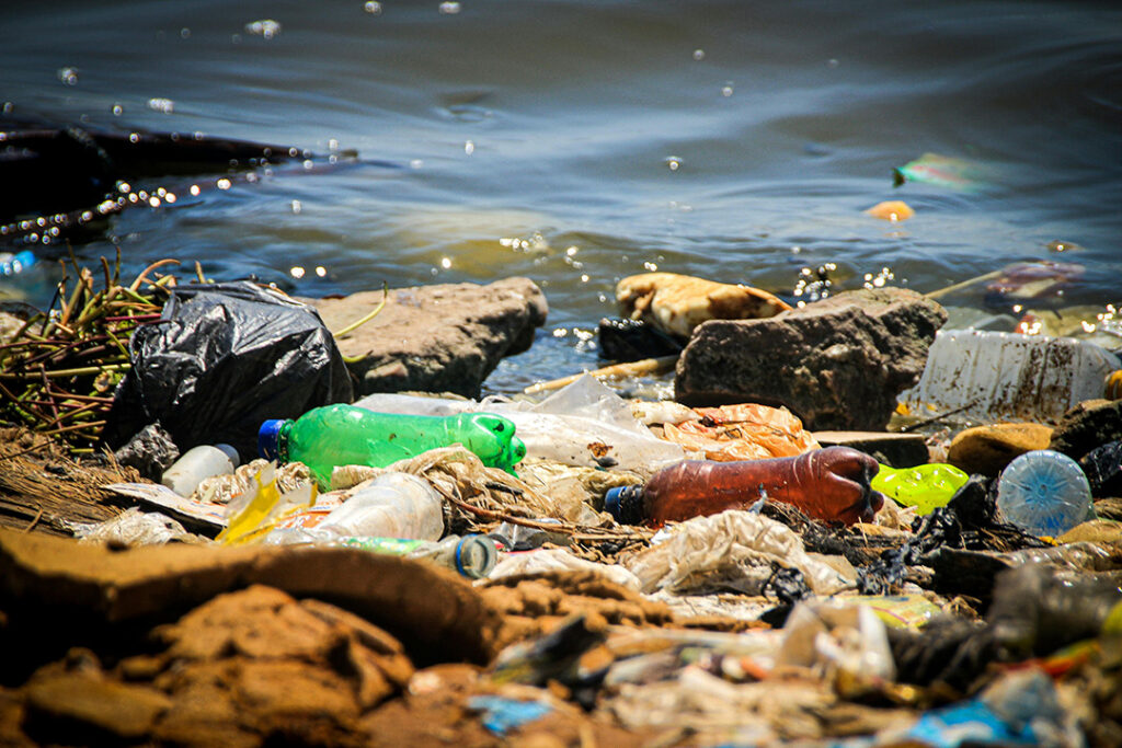 Desechos plásticos contaminando el agua. Créditos: Rui Stenio