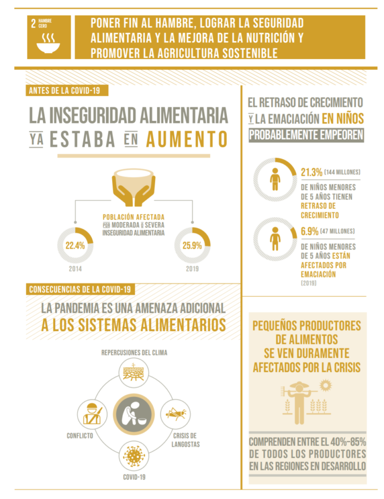 ODS 2: Hambre Cero. Situación alimentaria mundial antes y después del COVID-19.
El COVID-19 ha empeorado esta crisis, aumentando la inseguridad alimentaria en todo el mundo.