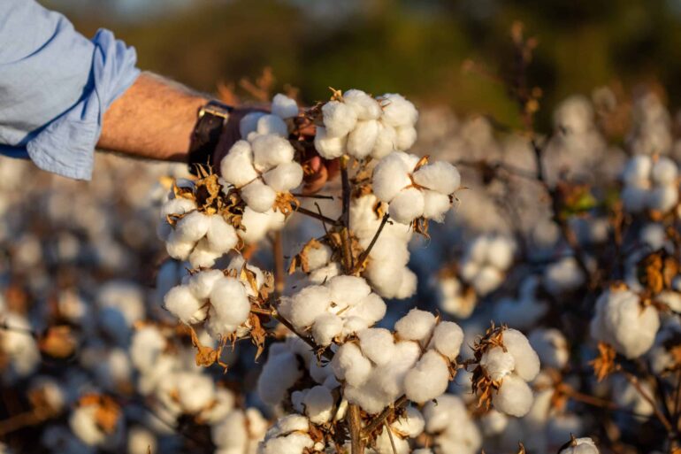 impacto medioambiental de los textiles