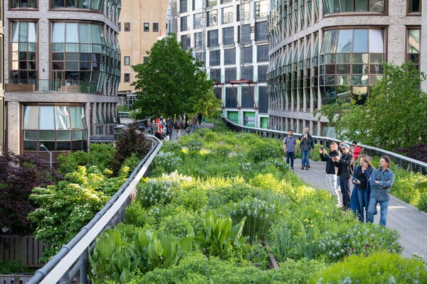 La High Line, una delle passeggiate più belle di New York, è stata costruita nel 2009. 